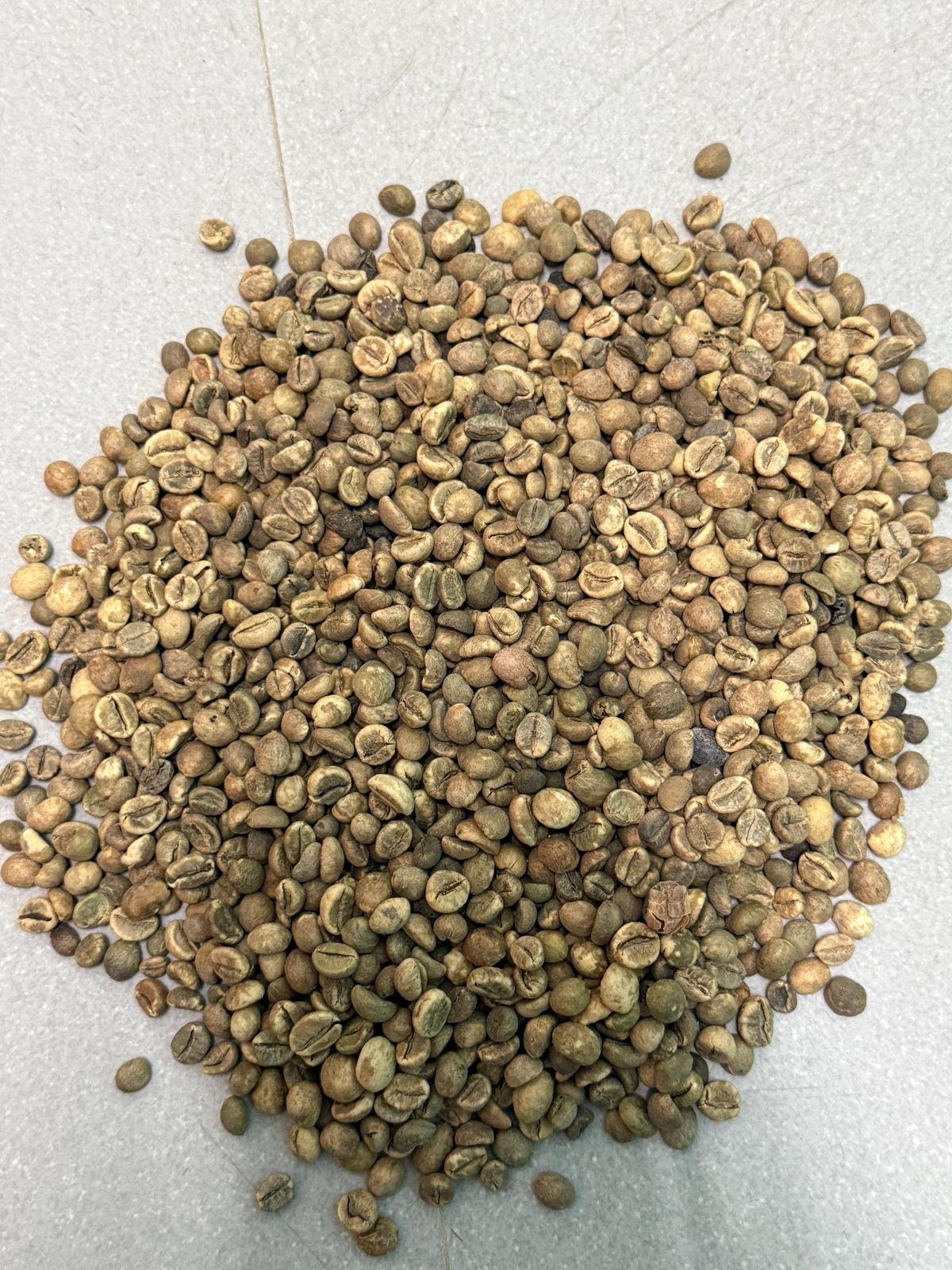 Agricultural Commodities