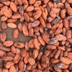 Cocoa Beans