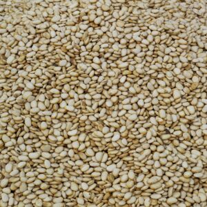 Sesame Seeds
